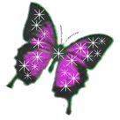 btterfly002