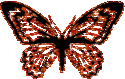 btterfly032