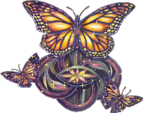 btterfly064