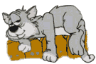 katze-12